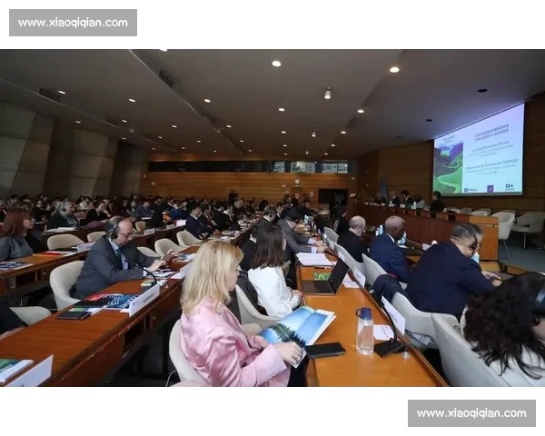 深化国际教育交流合作共建人才培养与文明互鉴新格局发展路径探索